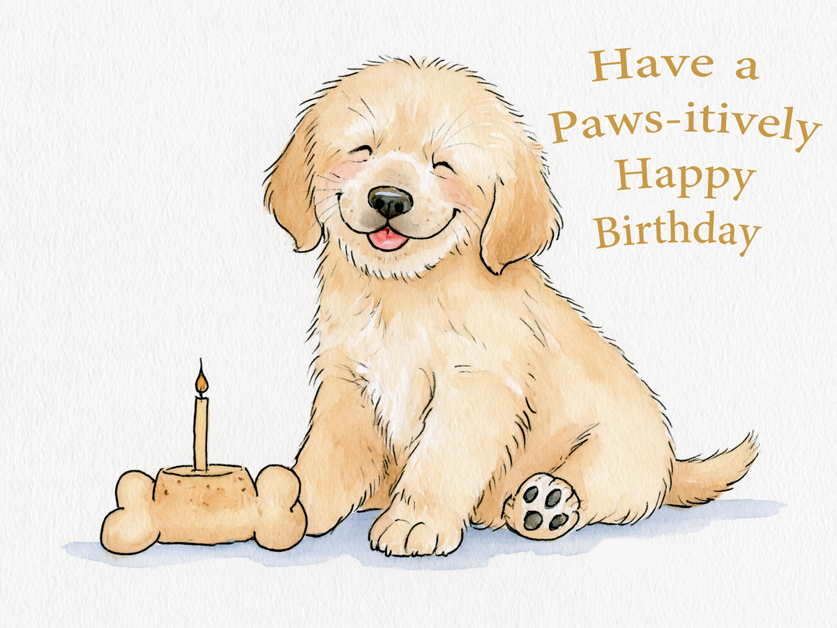 Paws-itively Happy Birthday
