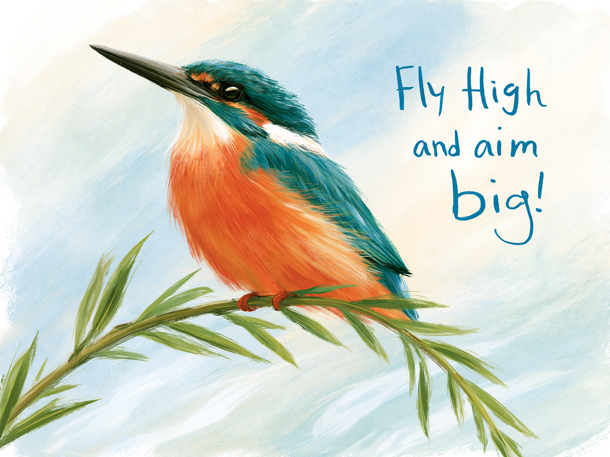 Fly High and Aim Big
